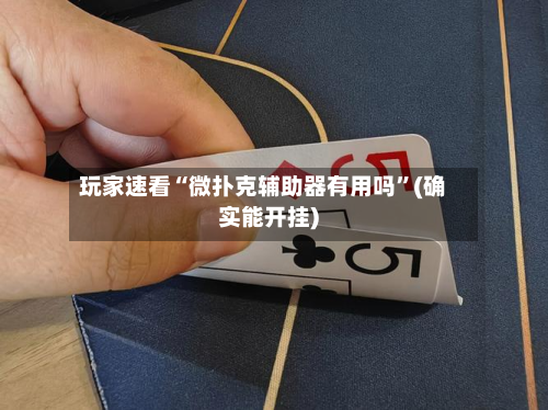 玩家速看“微扑克辅助器有用吗”(确实能开挂)-第3张图片