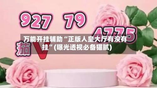 万能开挂辅助“正版人皇大厅有没有挂”(曝光透视必备猫腻)-第2张图片