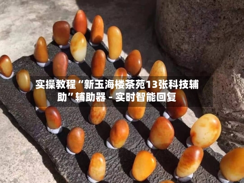 实操教程“新玉海楼茶苑13张科技辅助	”辅助器 - 实时智能回复-第2张图片