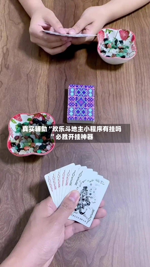 真实辅助“欢乐斗地主小程序有挂吗”必胜开挂神器-第3张图片