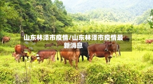 山东林泽市疫情/山东林泽市疫情最新消息