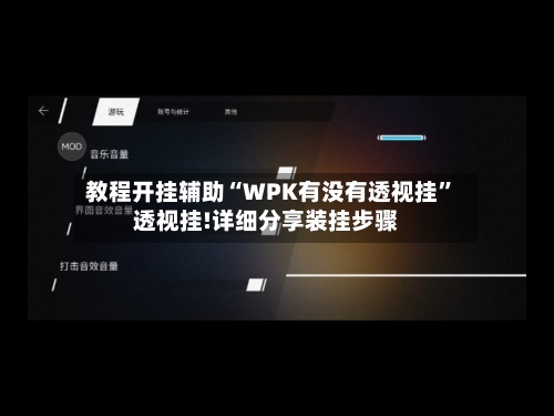 教程开挂辅助“WPK有没有透视挂”透视挂!详细分享装挂步骤