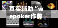 真实辅助“wepoker作弊透视辅助”开挂(透视)辅助神器-第3张图片