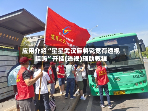 应用介绍“星星武汉麻将究竟有透视挂吗”开挂(透视)辅助教程-第2张图片