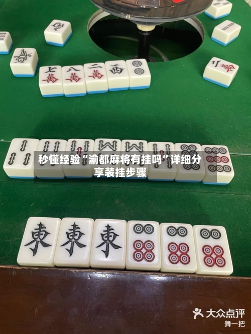 秒懂经验“渝都麻将有挂吗”详细分享装挂步骤-第3张图片