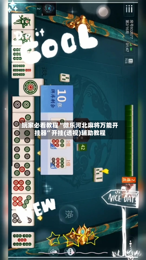 玩家必看教程“微乐河北麻将万能开挂器”开挂(透视)辅助教程-第2张图片