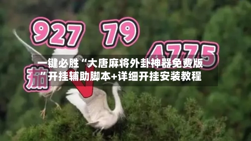 一键必胜“大唐麻将外卦神器免费版”开挂辅助脚本+详细开挂安装教程