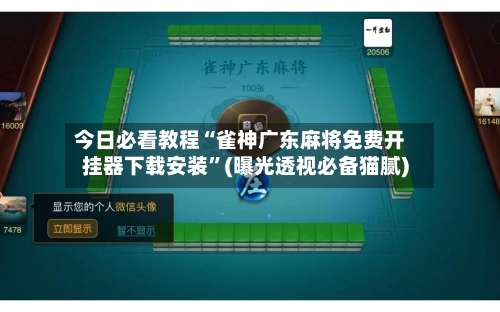 今日必看教程“雀神广东麻将免费开挂器下载安装”(曝光透视必备猫腻)-第3张图片