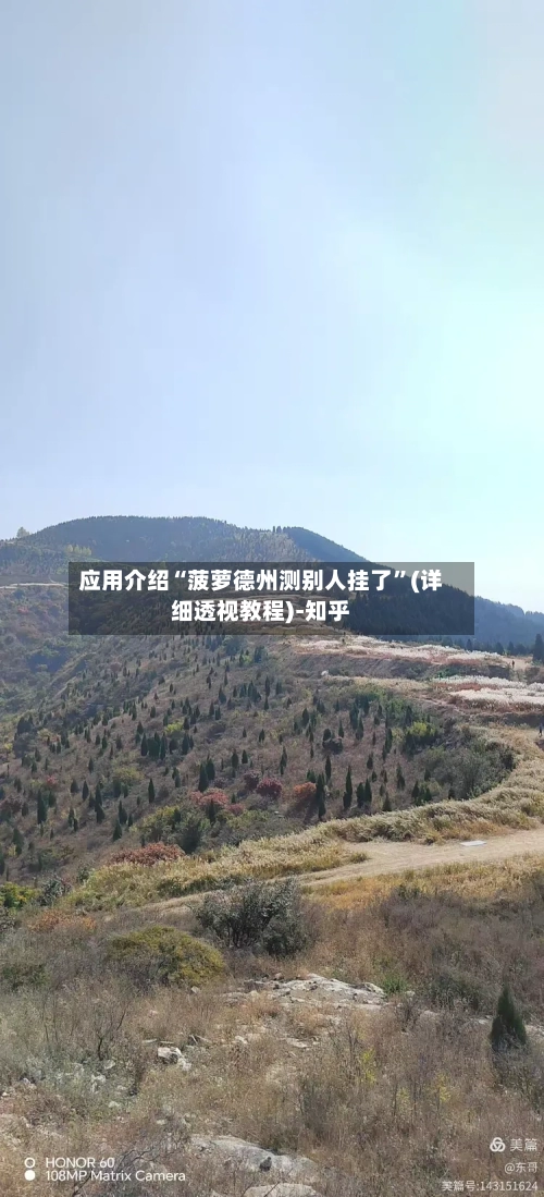 应用介绍“菠萝德州测别人挂了	”(详细透视教程)-知乎-第2张图片