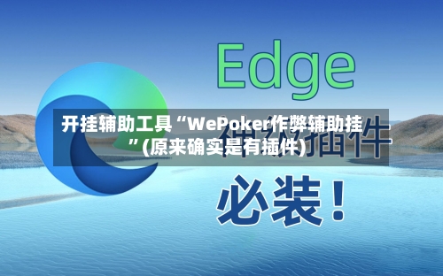 开挂辅助工具“WePoker作弊辅助挂	”(原来确实是有插件) -第2张图片