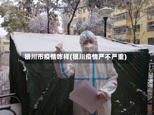 银川市疫情咋样(银川疫情严不严重)-第3张图片