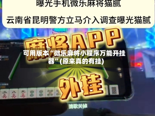 可用版本“微乐麻将小程序万能开挂器”(原来真的有挂)-第2张图片