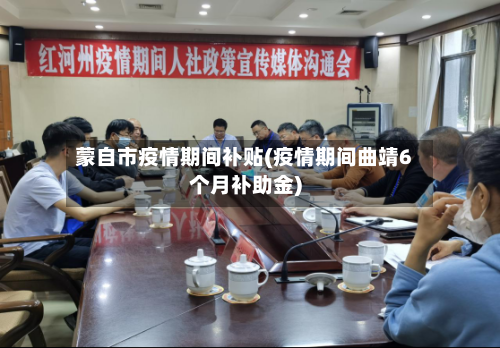 蒙自市疫情期间补贴(疫情期间曲靖6个月补助金)-第2张图片