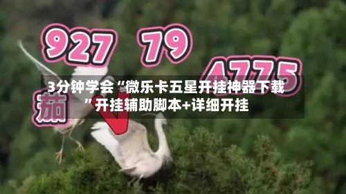 3分钟学会“微乐卡五星开挂神器下载”开挂辅助脚本+详细开挂-第3张图片