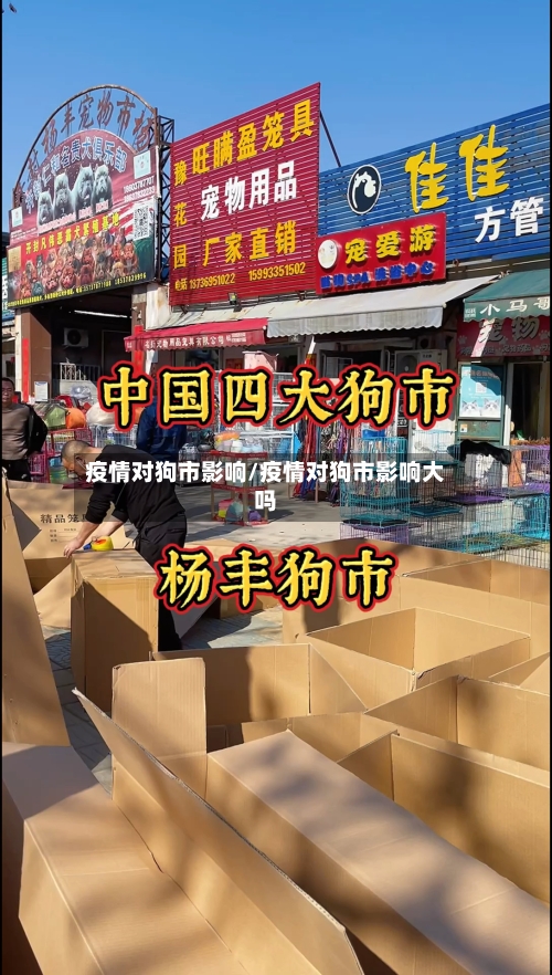 疫情对狗市影响/疫情对狗市影响大吗-第2张图片
