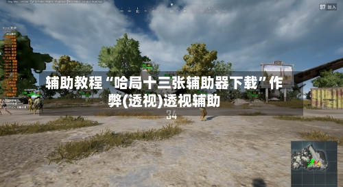 辅助教程“哈局十三张辅助器下载”作弊(透视)透视辅助-第2张图片