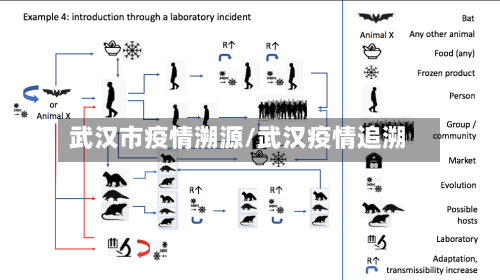 武汉市疫情溯源/武汉疫情追溯-第2张图片