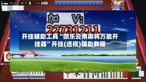 开挂辅助工具“微乐云南麻将万能开挂器”开挂(透视)辅助教程-第3张图片