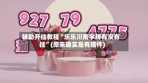 辅助开挂教程“乐乐川南字牌有没有挂”(原来确实是有插件) -第2张图片