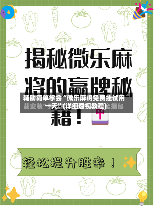 辅助简单学会“微乐麻将免费挂试用一天”(详细透视教程)