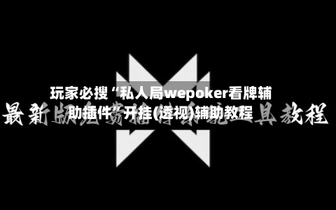 玩家必搜“私人局wepoker看牌辅助插件”开挂(透视)辅助教程-第2张图片