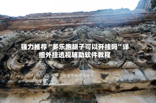 强力推荐“多乐跑胡子可以开挂吗”详细外挂透视辅助软件教程-第2张图片