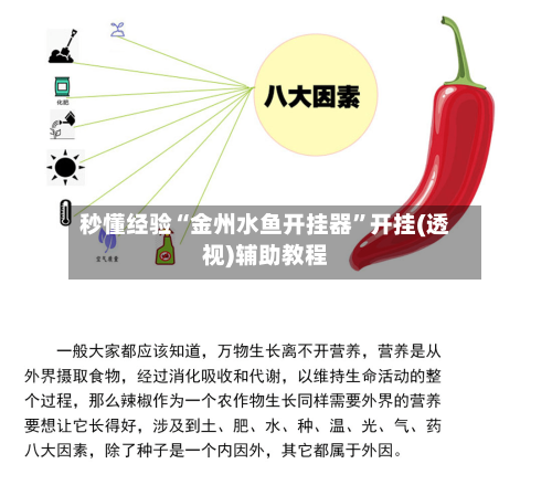 秒懂经验“金州水鱼开挂器”开挂(透视)辅助教程-第2张图片