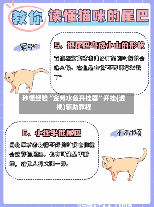 秒懂经验“金州水鱼开挂器”开挂(透视)辅助教程-第3张图片