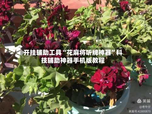 开挂辅助工具“花麻将听牌神器”科技辅助神器手机版教程-第3张图片