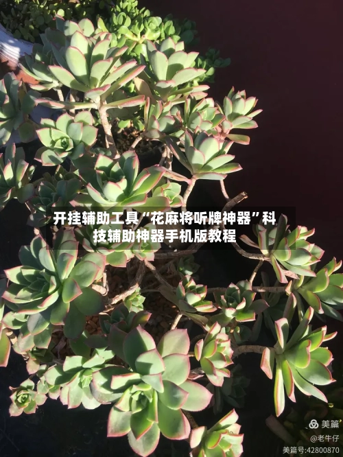 开挂辅助工具“花麻将听牌神器	”科技辅助神器手机版教程-第2张图片