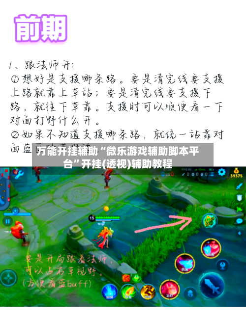 万能开挂辅助“微乐游戏辅助脚本平台”开挂(透视)辅助教程-第2张图片