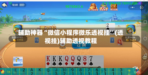 辅助神器“微信小程序微乐透视挂”(透视挂)辅助透视教程-第3张图片