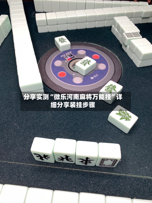 分享实测“微乐河南麻将万能挂”详细分享装挂步骤-第3张图片