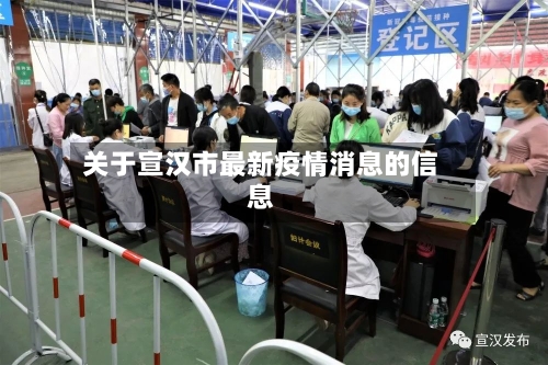 关于宣汉市最新疫情消息的信息