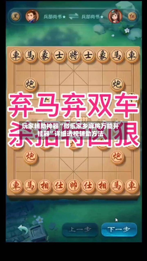 玩家辅助神器“微乐家乡麻将万能开挂器	”详细透视辅助方法-第2张图片