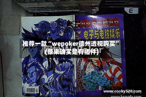 推荐一款“wepoker德州透视购买”(原来确实是有插件)-第2张图片