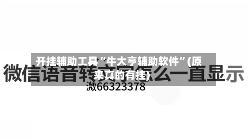开挂辅助工具“牛大亨辅助软件	”(原来真的有挂)-第3张图片