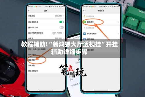 教程辅助!“新鸿狐大厅透视挂”开挂辅助详细步骤-第2张图片