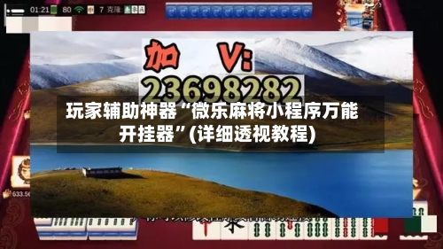 玩家辅助神器“微乐麻将小程序万能开挂器”(详细透视教程)-第2张图片