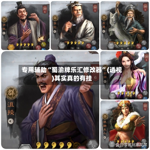 专用辅助“蜀渝牌乐汇修改器”(透视)其实真的有挂-第2张图片