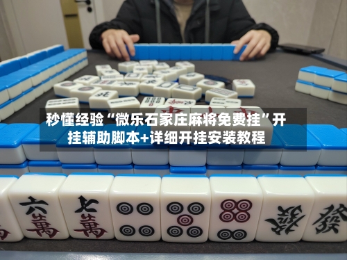 秒懂经验“微乐石家庄麻将免费挂”开挂辅助脚本+详细开挂安装教程-第2张图片
