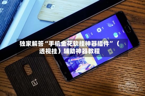 独家解答“手机金花软挂神器插件”（透视挂）辅助神器教程-第2张图片
