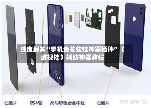 独家解答“手机金花软挂神器插件”（透视挂）辅助神器教程-第3张图片