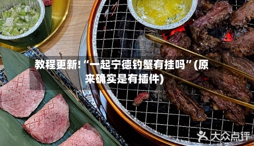 教程更新!“一起宁德钓蟹有挂吗”(原来确实是有插件) 