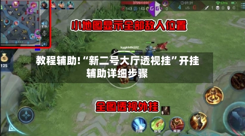 教程辅助!“新二号大厅透视挂”开挂辅助详细步骤-第2张图片