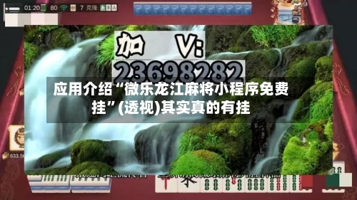 应用介绍“微乐龙江麻将小程序免费挂	”(透视)其实真的有挂-第2张图片