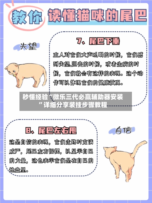 秒懂经验“微乐三代必赢辅助器安装”详细分享装挂步骤教程-第2张图片