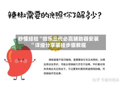 秒懂经验“微乐三代必赢辅助器安装	”详细分享装挂步骤教程-第3张图片
