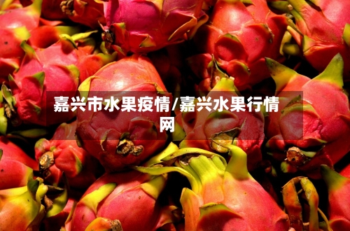 嘉兴市水果疫情/嘉兴水果行情网-第2张图片