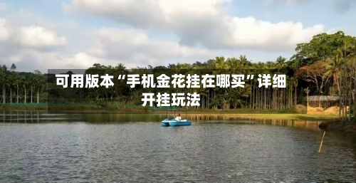 可用版本“手机金花挂在哪买	”详细开挂玩法-第2张图片